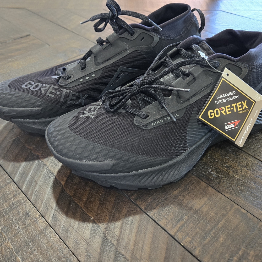 Nike Mens Trail Gore-Tex Black Sneakers